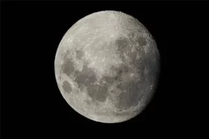 comportamento noturno dos animais do Cerrado